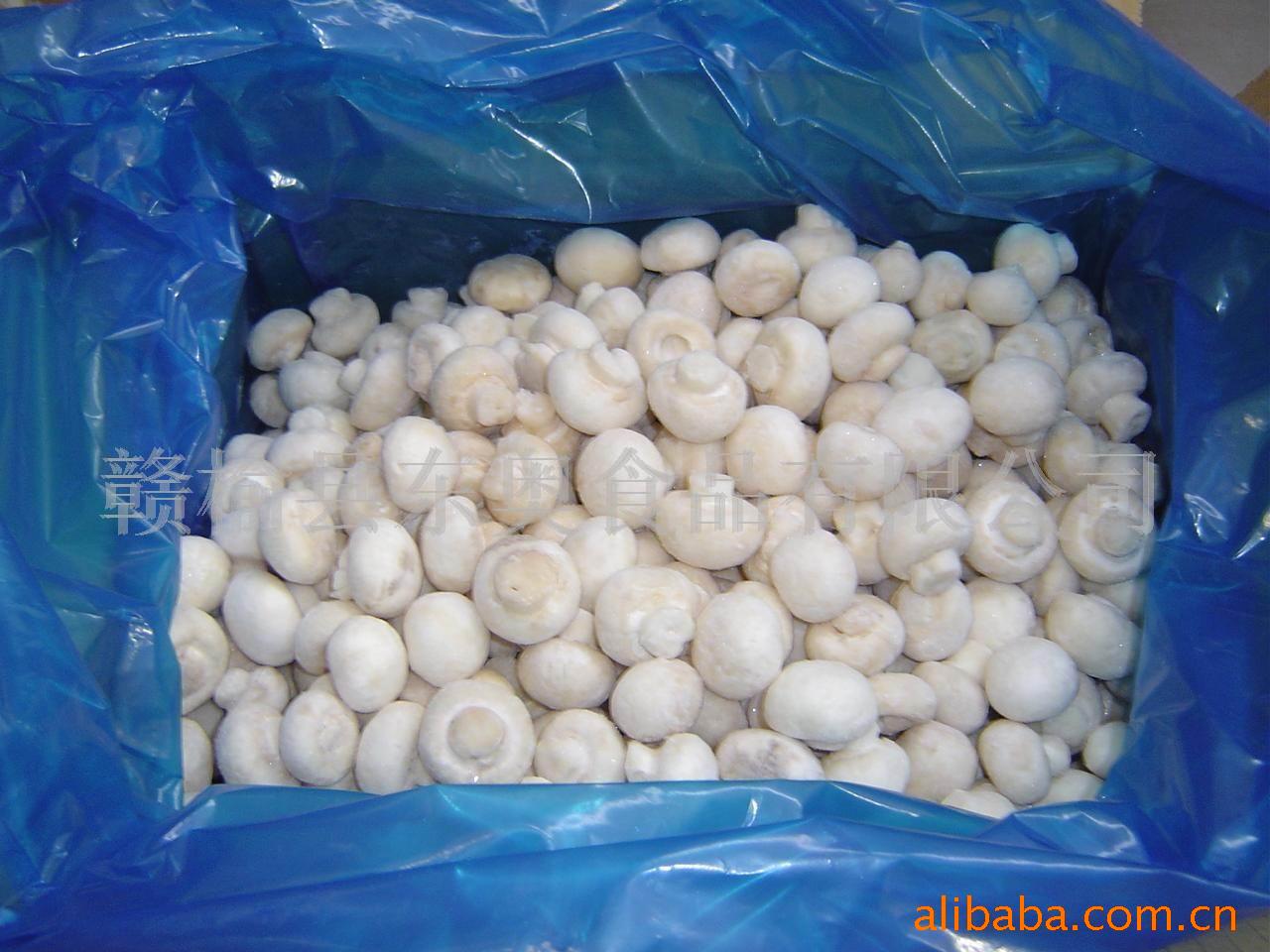 速冻双孢菇;;;+速冻双孢菇产品大图-赣榆县东奥食品